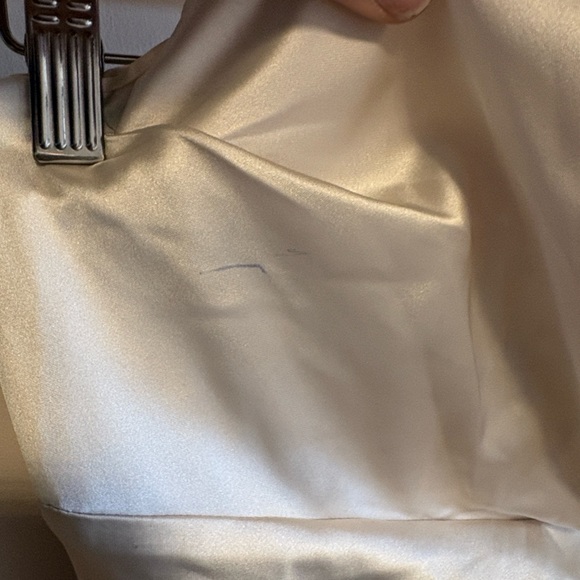 Lena Champagne Satin Backless Dress - Picture 8 of 16